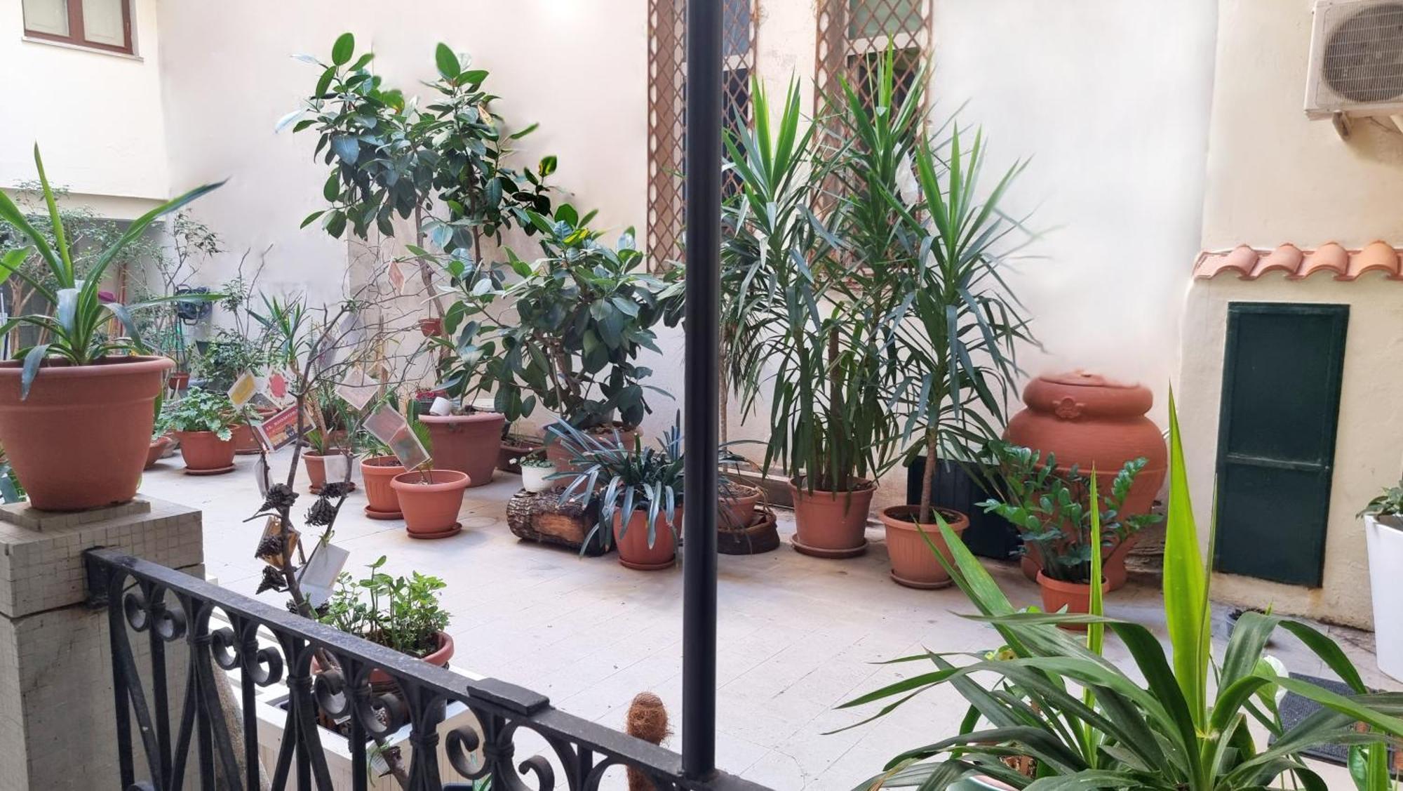 Apartament Loft Magna Grecia Reggio Calabria Centro Storico A 3 Minuti A Piedi Dal Mare Zewnętrze zdjęcie